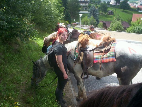 Western-Reiten im Sommer 2007 - 