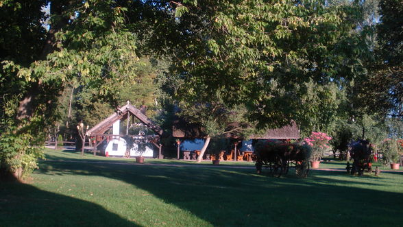 Reiten in Ungarn Puszta Sommer 2008 - 