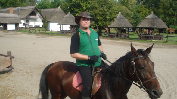 Reiten in Ungarn Puszta Sommer 2008 - 