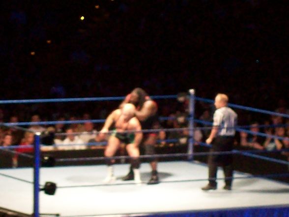 wrestlemania 25 in salzburg - 