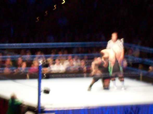 wrestlemania 25 in salzburg - 