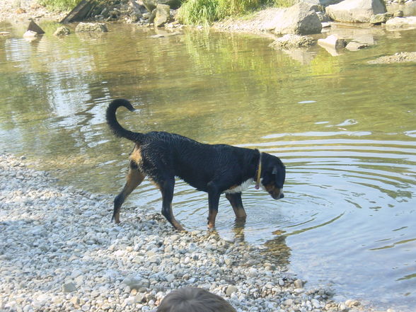 Mein pelziger Freund :) - 