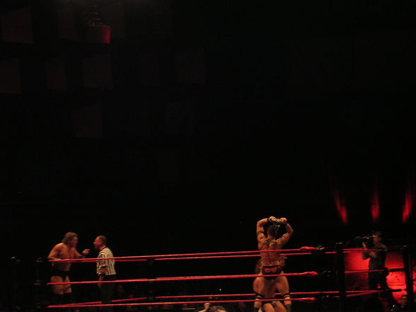 Wrestle Mania Revenge Tour 2008 in Wien - 