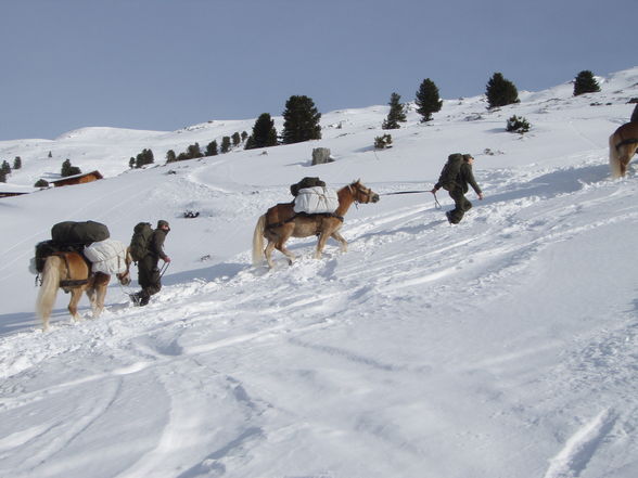 sau kalt wors 14 tog im schnee schlofa - 