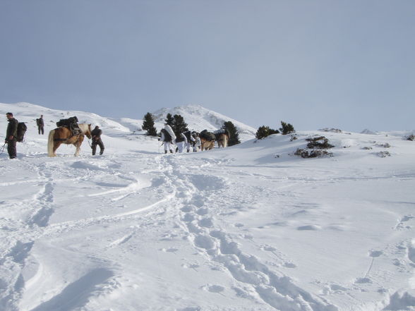 sau kalt wors 14 tog im schnee schlofa - 