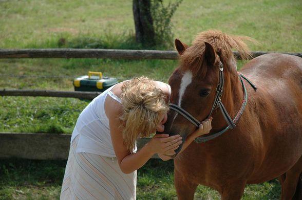 meine pferde und ich :) - 