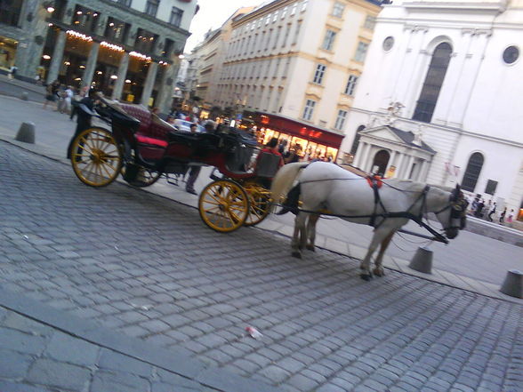 Shoppen in Vienna - 