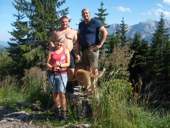 steyrer hütte - 