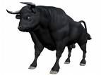 Big Bull - 