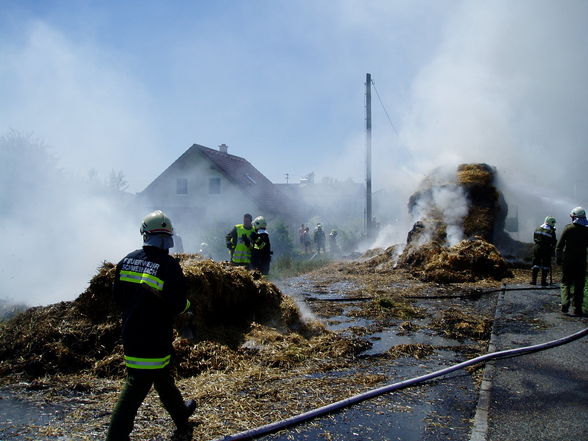 FF Einsätze - 