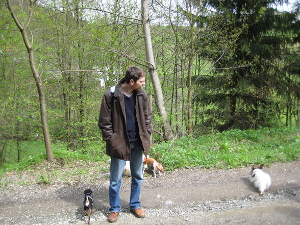 Papillontreffen am 1. Mai 2008 - 