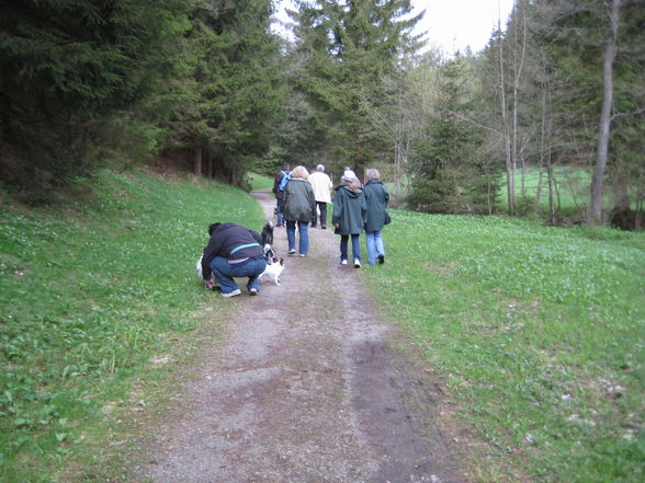 Papillontreffen am 1. Mai 2008 - 