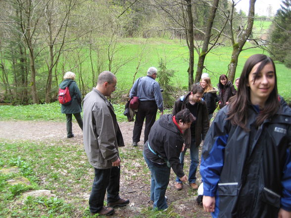 Papillontreffen am 1. Mai 2008 - 