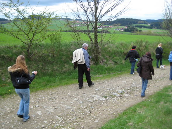 Papillontreffen am 1. Mai 2008 - 