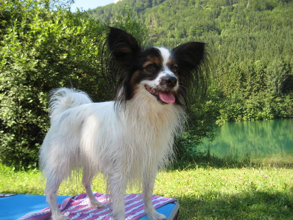 Baden an der Steyr mit Axel - 