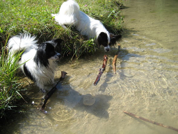 Baden an der Steyr mit Axel - 