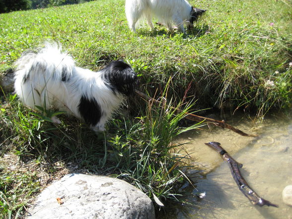 Baden an der Steyr mit Axel - 