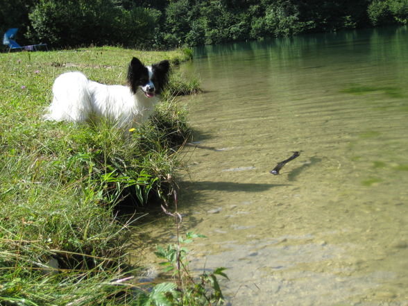 Baden an der Steyr mit Axel - 