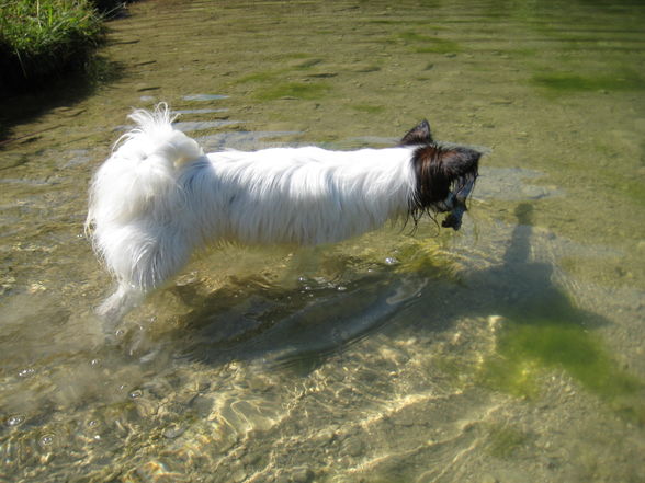 Baden an der Steyr mit Axel - 