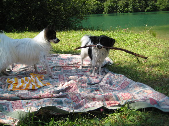 Baden an der Steyr mit Axel - 