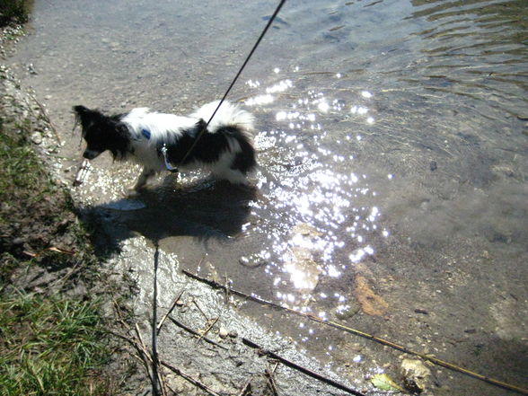 Wandern am Laudachsee - 