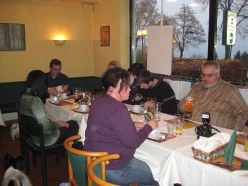 Papillontreffen 16.11.2008 - 