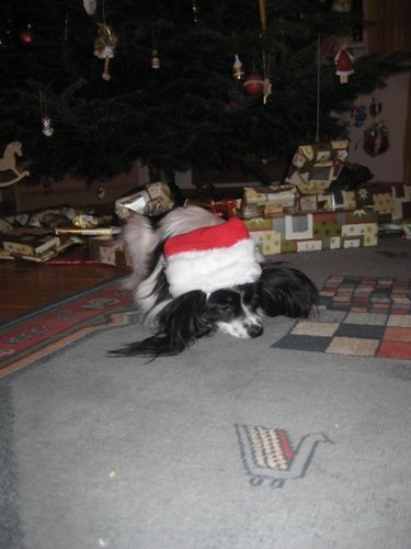 Weihnachten 2008 - 