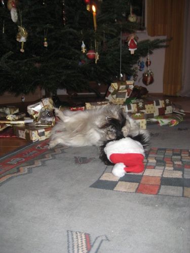 Weihnachten 2008 - 