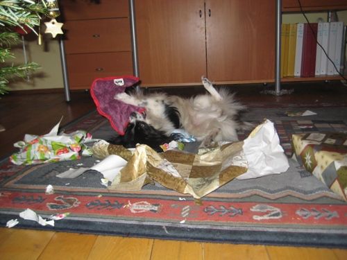 Weihnachten 2008 - 