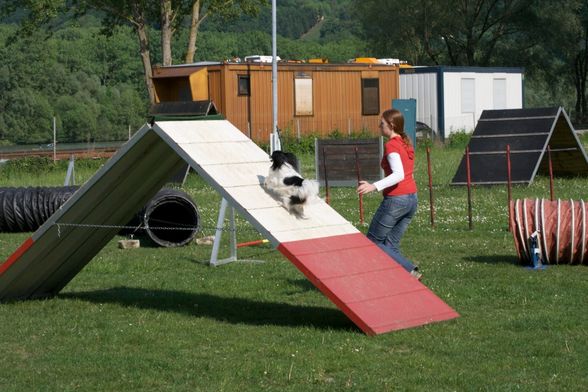 Agility- Training Mai 2009 - 