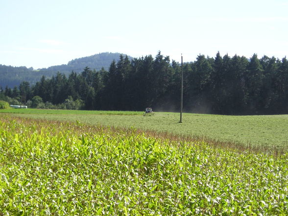 Auswärtsfahrt Pisek (CZ) 2006 - 