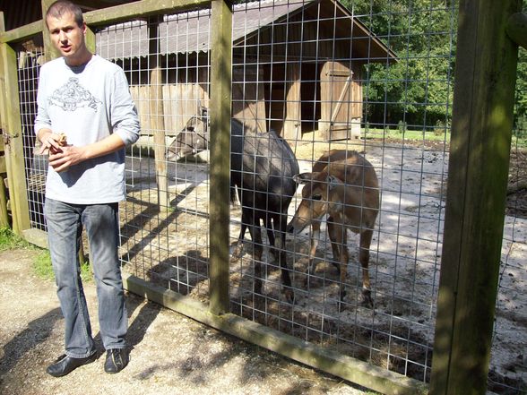 Tierpark - 