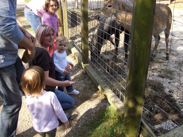 Tierpark - 