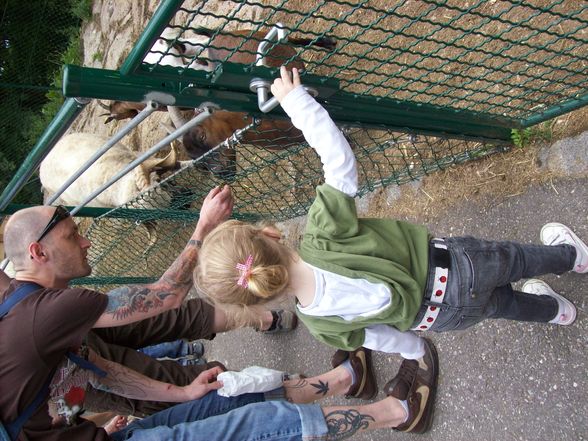 Tierpark - 