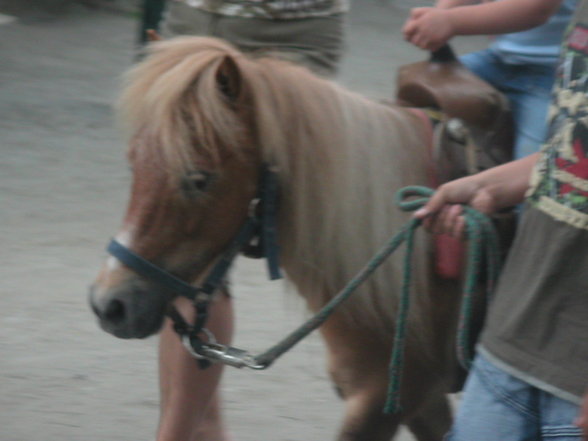 Pullman City Jun. 07 - 