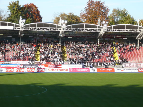 Lask  V.I.P     - 