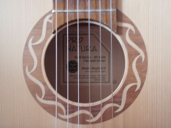 my guitar elva - 