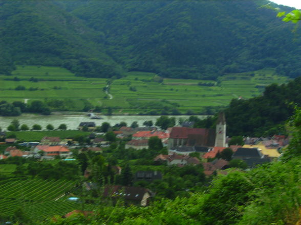 ...WaChAu-AuSfLuG... - 