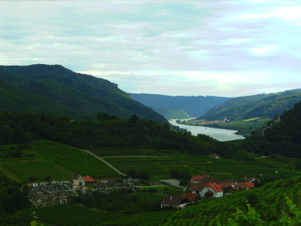 ...WaChAu-AuSfLuG... - 