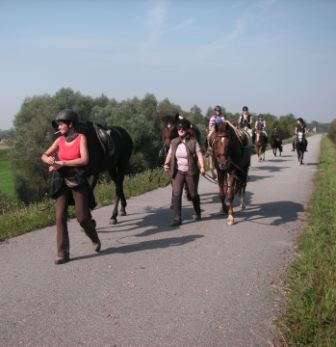 Tagesritt nach Wallsee - 