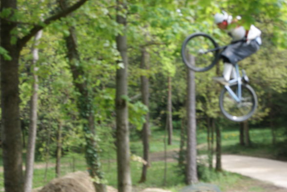 Dirtn 2010 - 