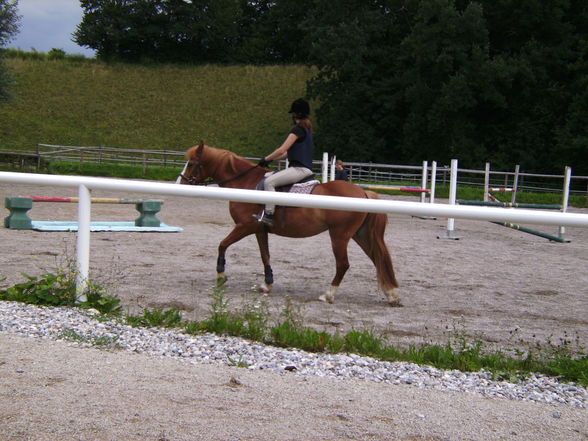 Reitclub Steyr!! - 