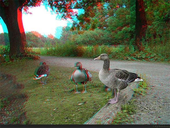 3D bilder( nur mit rot blauer 3D brille) - 