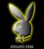 playboy - 