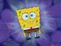 spongebob - 