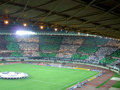 RAPID WIEN - 