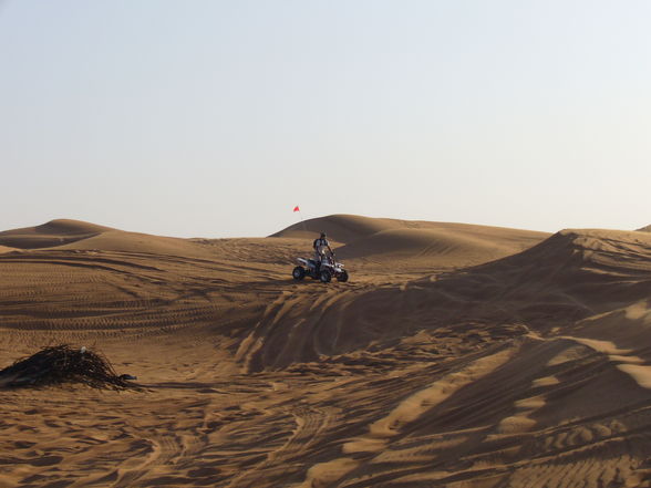 Desert Safari - 