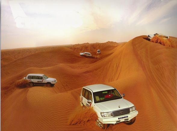 Desert Safari - 