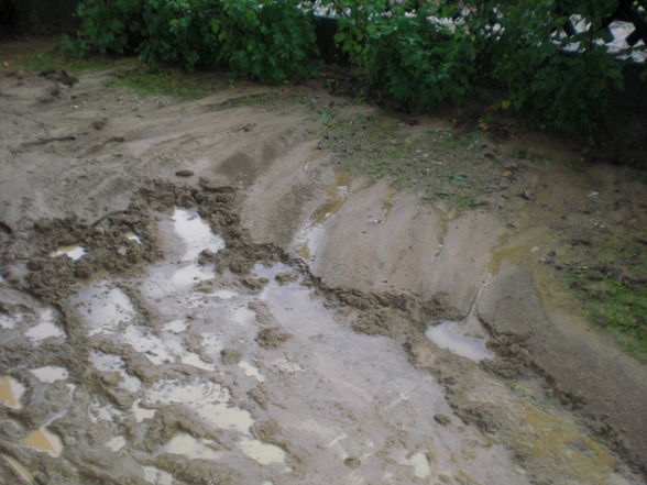 Hochwasser Wolfsbach!! - 