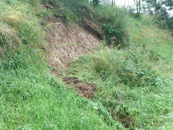 Hochwasser Wolfsbach!! - 